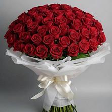 Букет 101 Красная роза Блэк Мэджик в Летний отдых