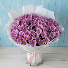 Букет цветов из:  Хризантемы #REPLACE_PRED# Летний отдых