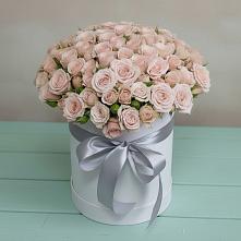 Цветочная композиция из Розы в шляпной коробке #REPLACE_PRED# Летний отдых