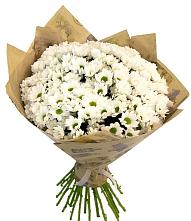 Букет цветов из:  Хризантемы #REPLACE_PRED# Летний отдых
