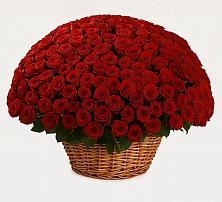 Премиум букет из: Розы в Летний отдых